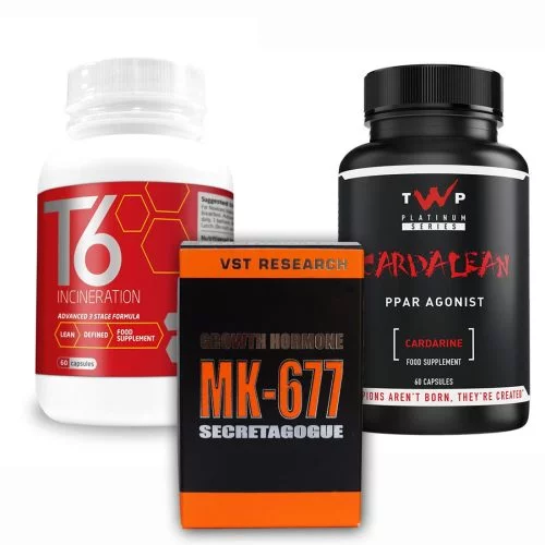 vst mk677 fat burning stack